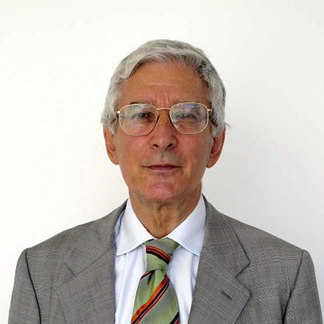 Fabrizio Onida GPFF - Professore ordinario di Economia internazionale presso l’Università Luigi Bocconi