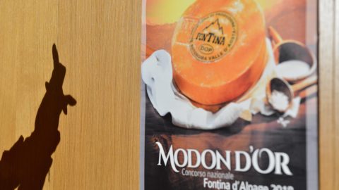 Modon d'Or e Gran Paradiso Film Festival