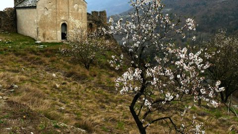 Concorso fotografico - Gran Paradiso Oltre la Natura